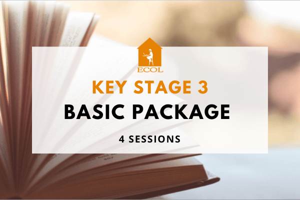 Key Stage 3 - Basic Package