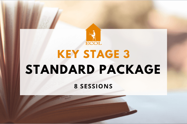 Key Stage 3 - Standard Package